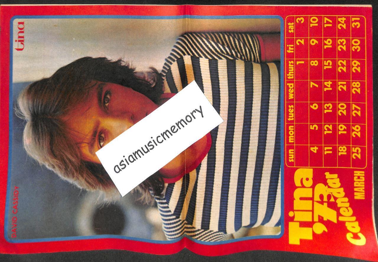 Vintage Tina Magazine Comic 1973 David Cassidy Double Page Color Photo (MZ063)