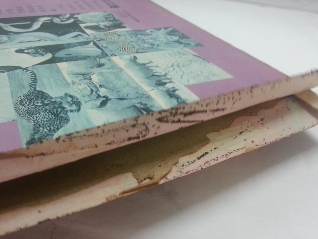 Mega Rare Animal World Electronic Organ Pysch Music Chinese LP 12" CLP4742