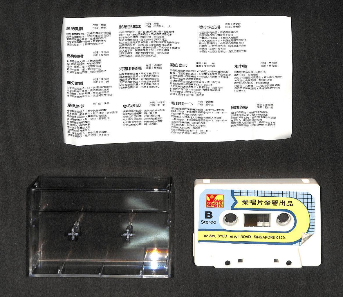 Taiwan Ya Jing 雅菁 (泥泥) 爱的真情 Hokkien Mega Rare Singapore Cassette 卡帶 磁帶 CS2034