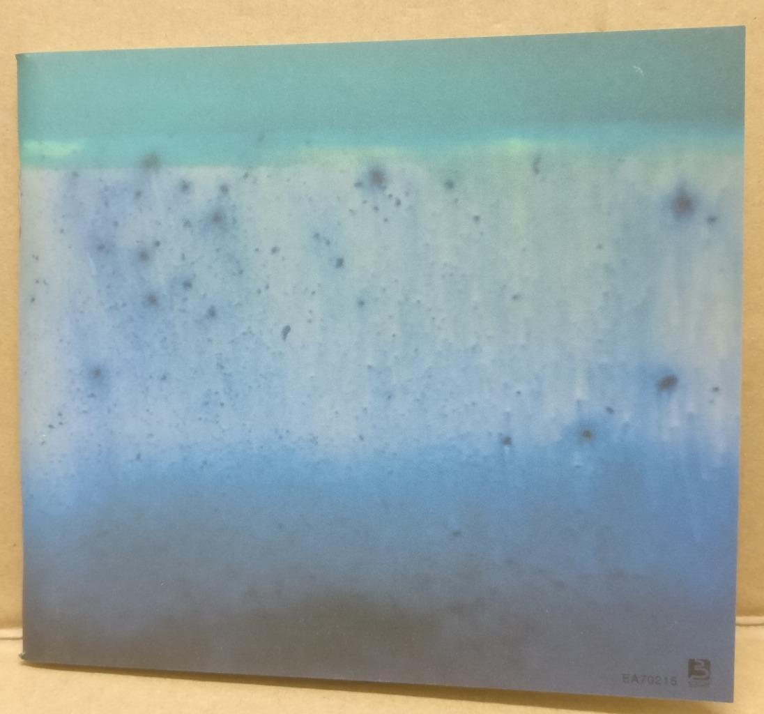 Japan Ryuichi Kawamura 河村隆一 2002 Rare Singapore Japanese CD + VCD FCB1666