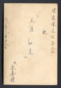 AMM18 Connie Chan Po Choo 陳寶珠 陈宝珠 Pretty Woman Color Photo Card Not Postcard PC586