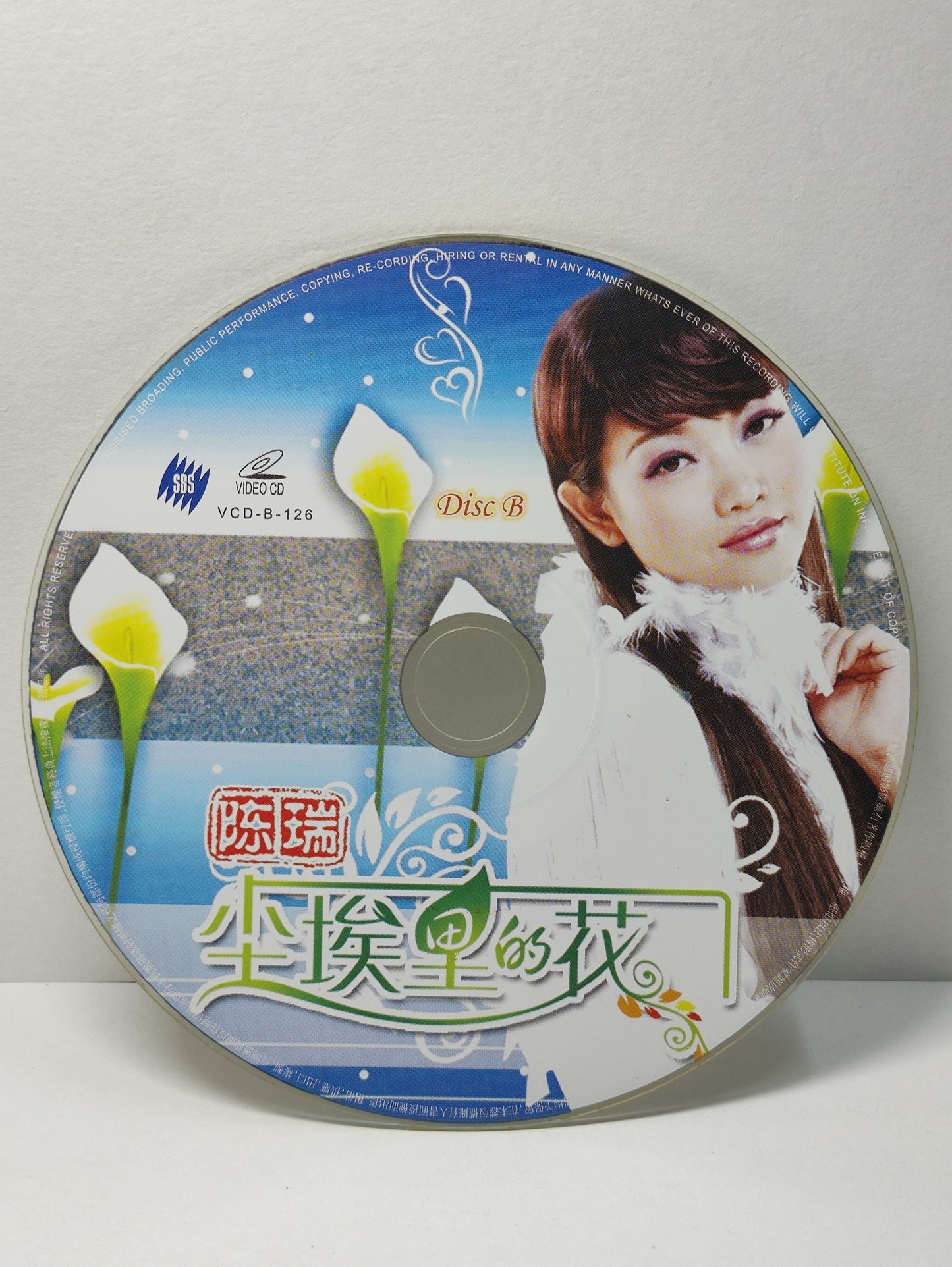 AMM25 陈瑞 尘埃里的花 这个冬天特别冷 CHINA HOKKIEN CHINESE VIDEO CD 2x VCD FCN184
