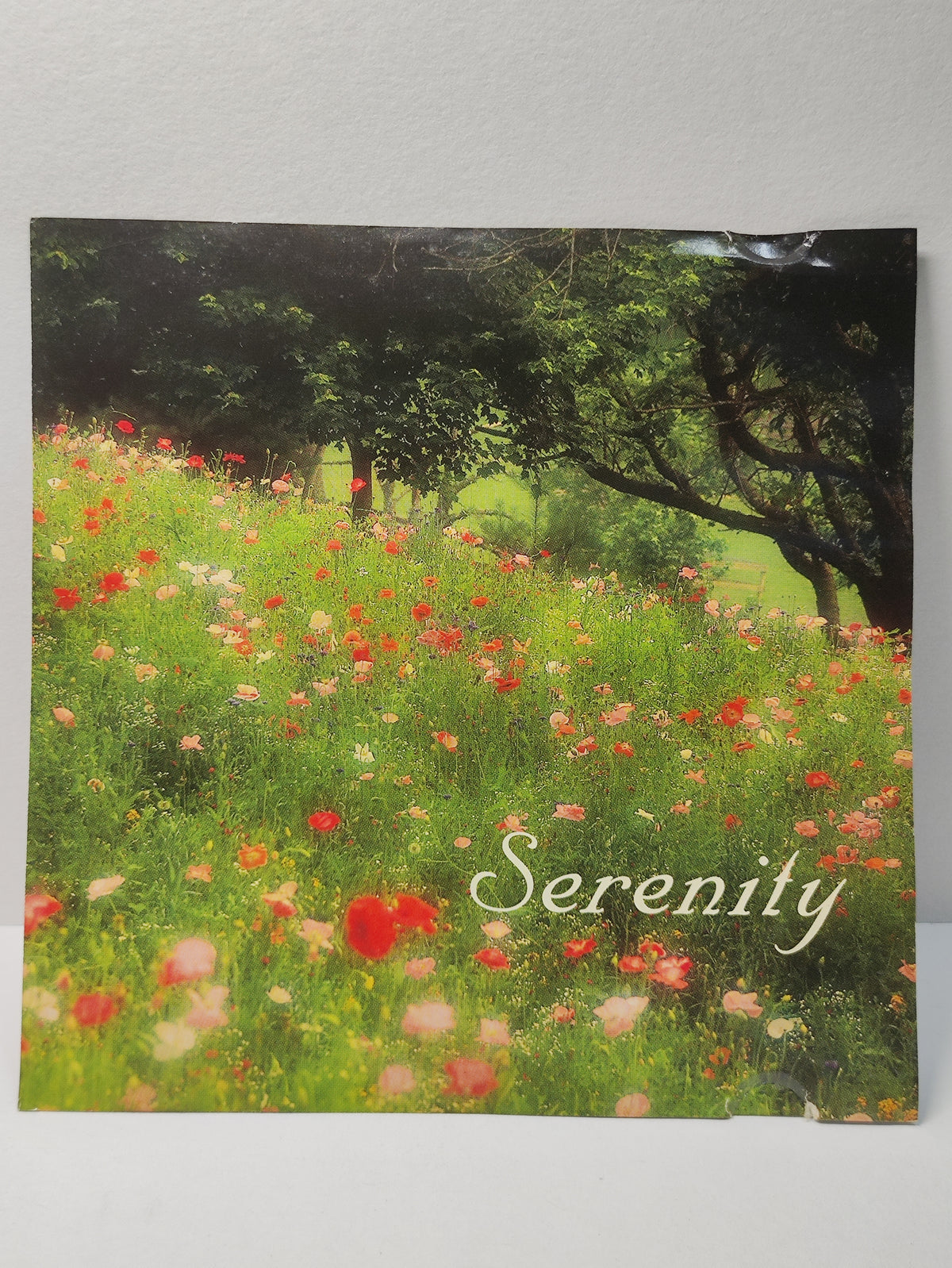 AMM25 SERENITY REFLECTIONS OF NATURE FIREFLIES DREAMING ROMANCE 1996 CANADA ENGLISH CD FCP215