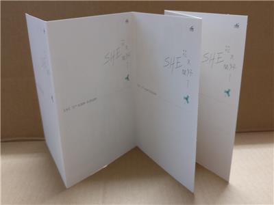 AMM18 Taiwan S.H.E. Hebe Selina Ella 任家萱 田馥甄 陈嘉桦 花又开好了 2012 Chinese CD + DVD FCBL152