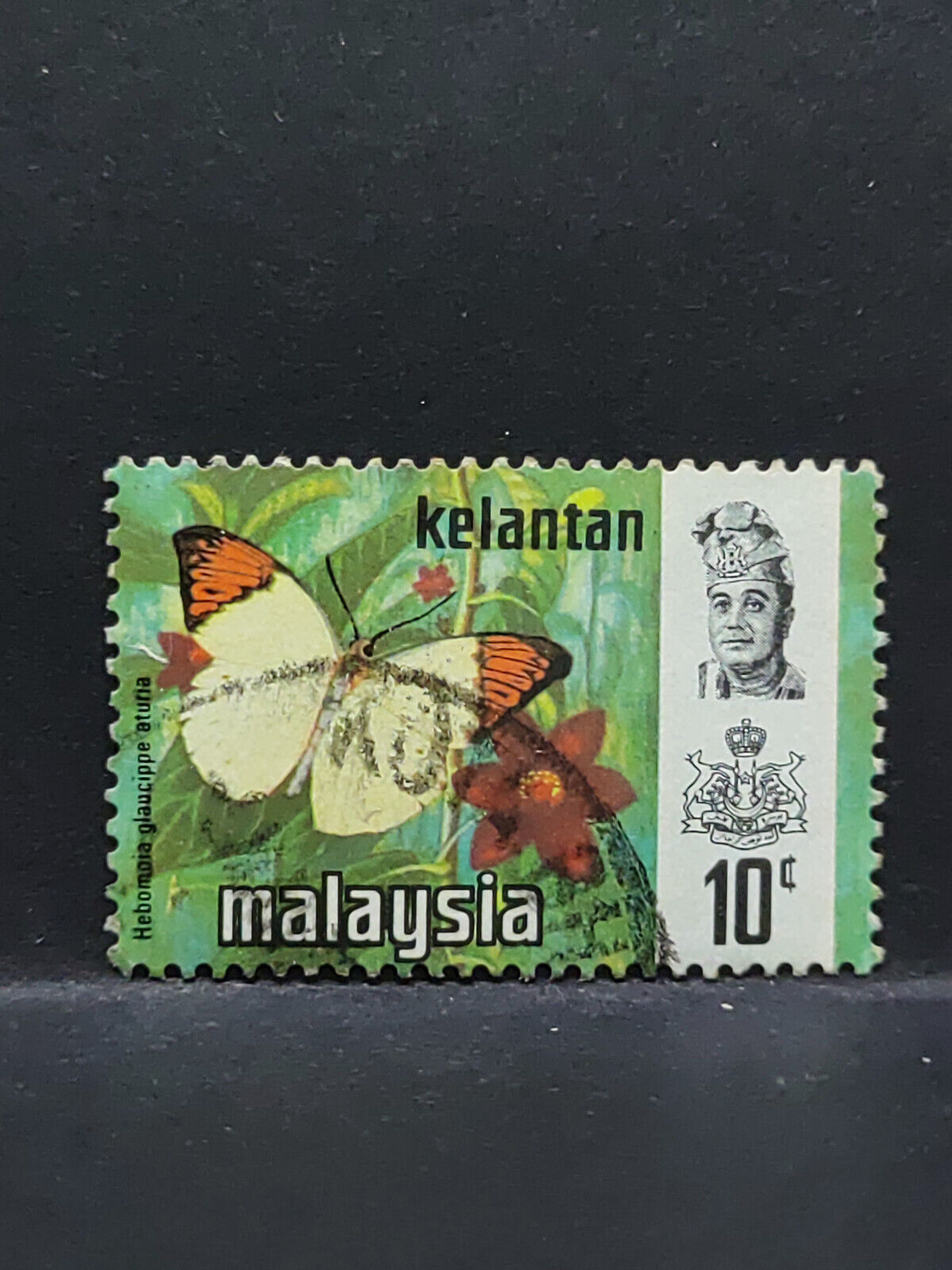 AMM68 Malaysia Kelantan Butterfly 10 cents Used Stamp (SA051)