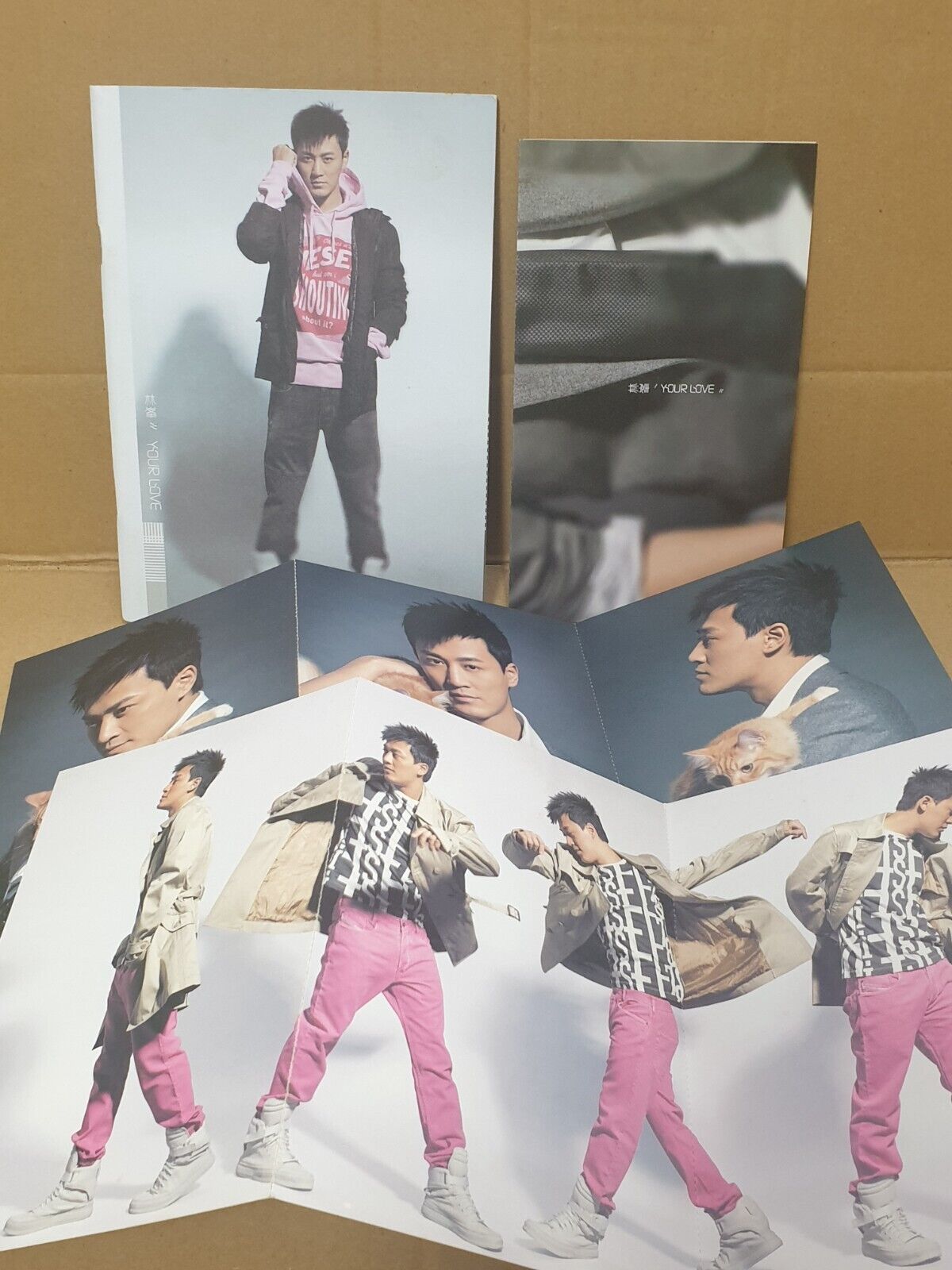 Hong Kong Raymond Lam 林峯 Your Love Chinese CD + DVD (FCB2480)