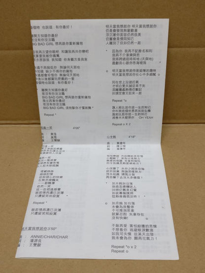 Hong Kong Anita Mui Mei Yan Fang 梅艳芳 梅艷芳 1995 Rare Box Set CD FCB1423