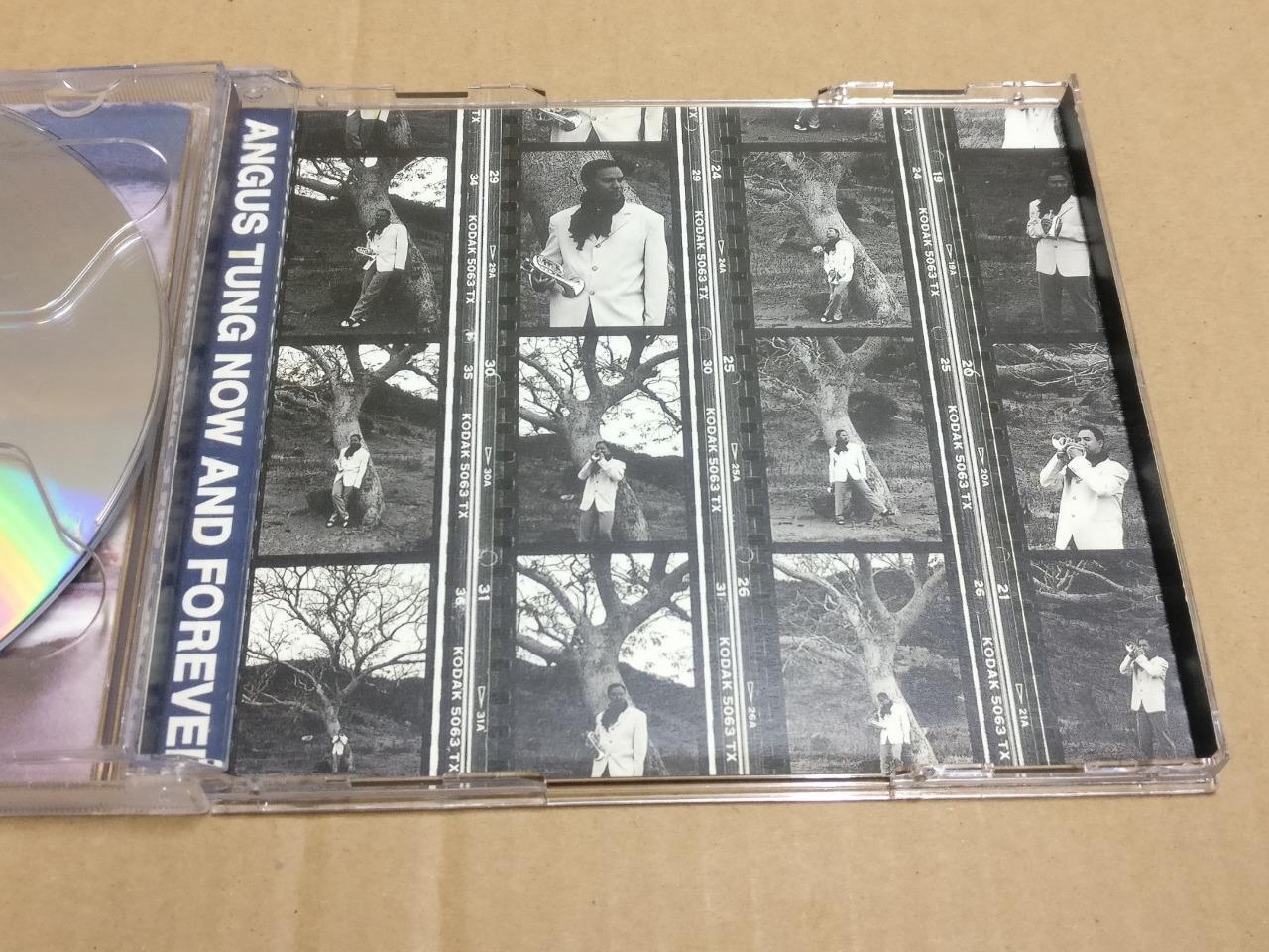 Taiwan Angus Tung Tong An Ge 童安格 现在以后 陪你到天亮 1994 Chinese CD FCB1921