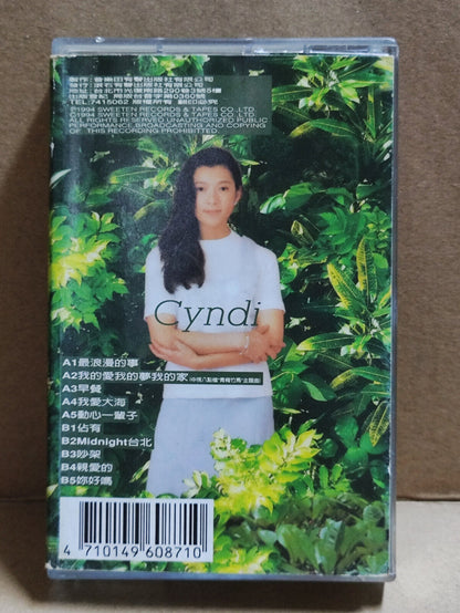 AMM68 Cyndi Chao 趙詠華 赵咏华 我的爱我的梦我的家 卡带 CHINESE CASSETTE ROCK TAIWAN 1994 (CS2167)