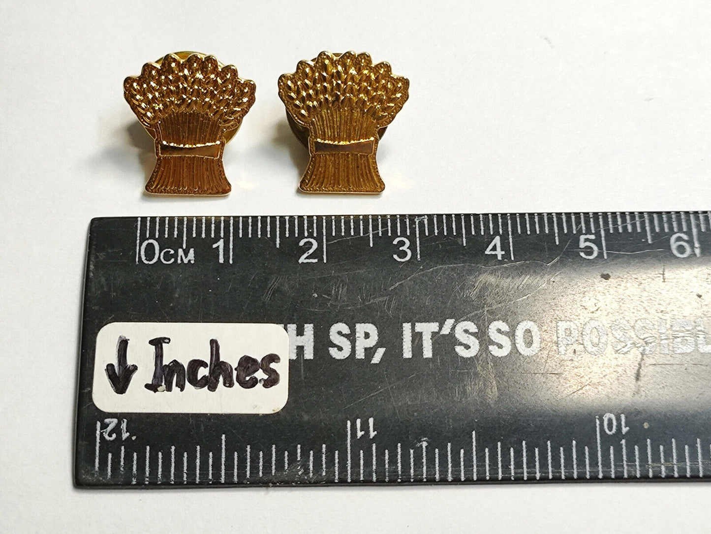 AMM68 PIN BADGE X2 (JF123)