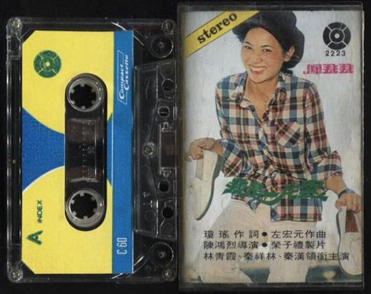 Taiwan Feng Fei Fei 鳳⾶⾶ 凤飞飞 我是一片雲 Rare Singapore Cassette 卡帶 磁帶 CS684
