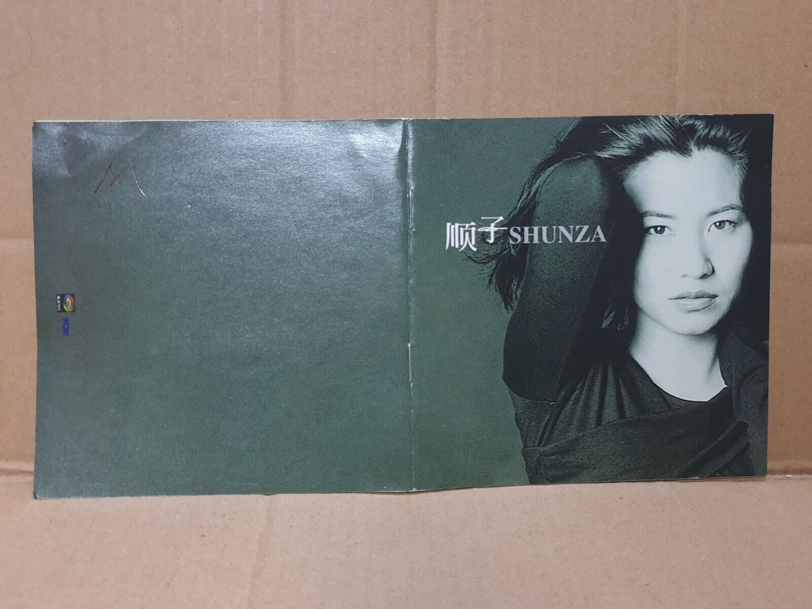 Taiwan Shunza Shunzi 顺子 回家 不想一个人 1997 Chinese CD (FCS10161)
