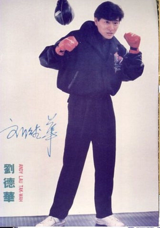 Singer Actor Andy Lau 刘德华 Handsome Kodak Paper Color Photo Not Postcard PC407