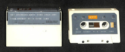 Taiwan Feng Fei Fei 凤飞飞 1991 Singapore Cassette 卡帶 磁帶 CS1531