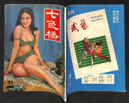 Vintage Lady Sexy Cheesecake Bikini Swimwear Ladies 七⾊桥 Chinese Magazine (MZ019)