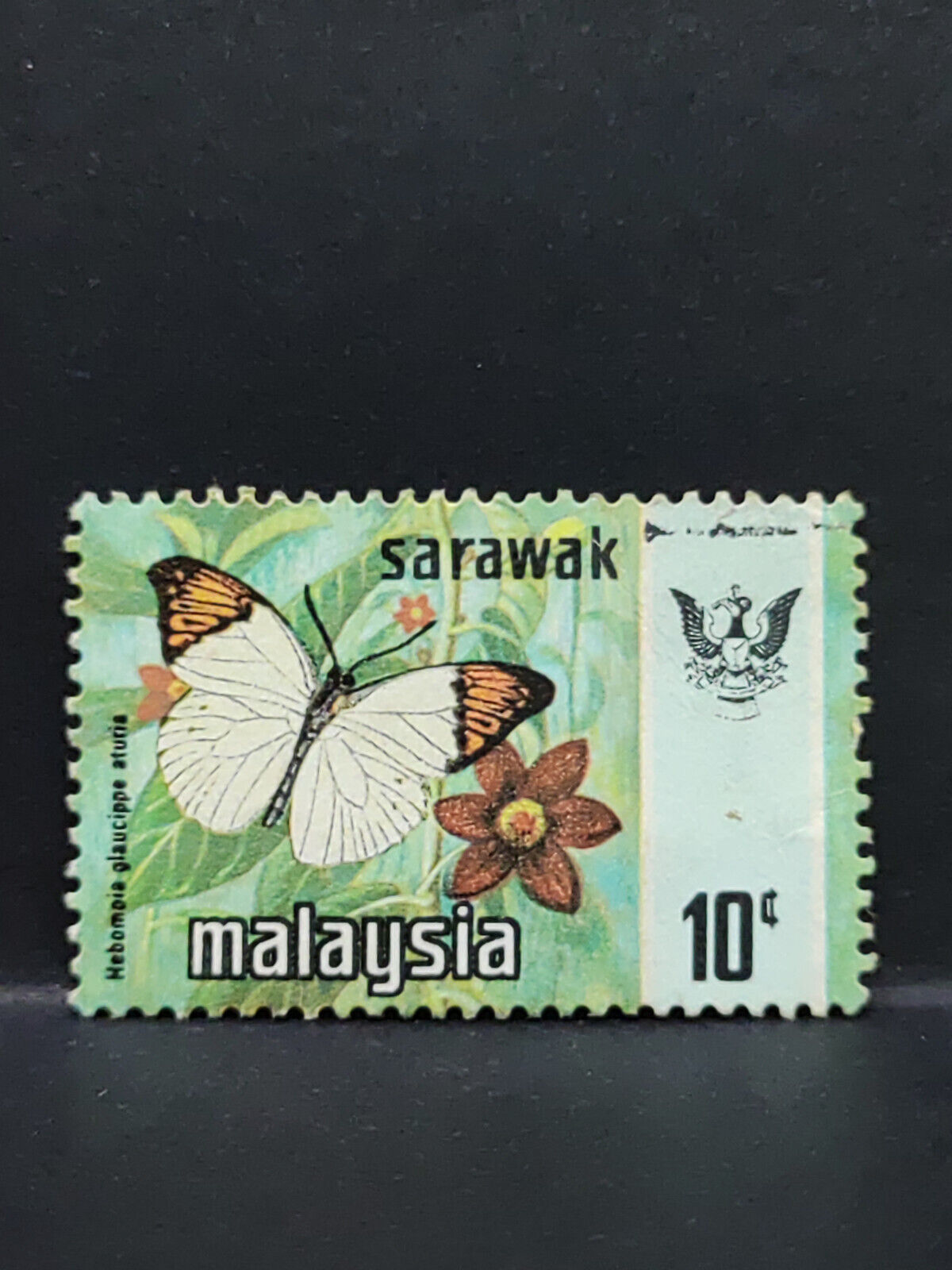 AMM68 Malaysia Sarawak Butterfly 10 cents Used Stamp (SA056)