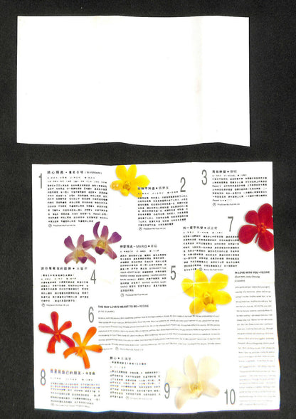 Rare 新加坡 NKF Charity 王菲 张学友 黎明 王馨平 1995 Various Artists Cassette 卡帶 磁帶 CS1622 