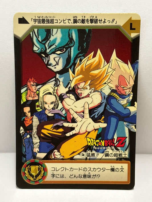 Dragon Ball Z (C6a) Carddass Card Bandai 1995 (ZZ218)