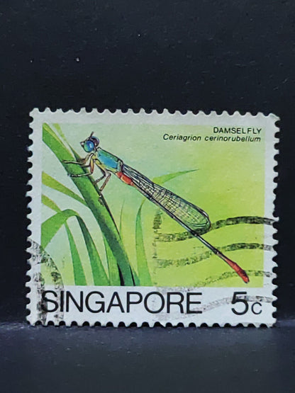 AMM68 Singapore Damselfly Bug 5 cents Used Stamp (SA011)