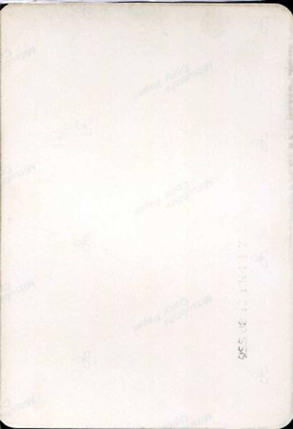 Rare Hong Kong Actress 米雪 Michelle Yim Mi Xue Mitsubishi Color Paper Photo PC391