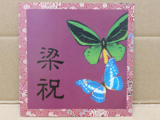 Butterfly Lovers 梁祝 Chinese Traditional Instrumental Music CD FCS8828