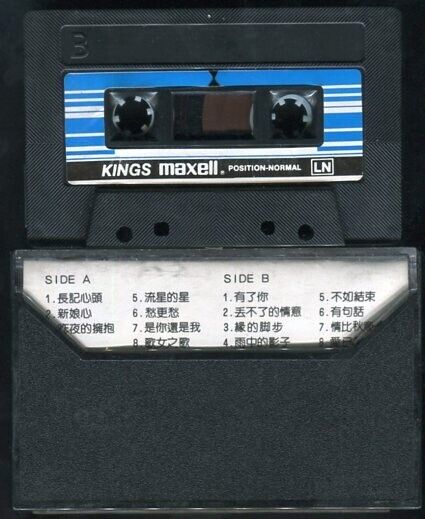 Taiwan 龙飘飘 龍飄飄 Long Piao Piao & Stylers Band Vol.8 King's Cassette 卡帶 磁帶 CS516