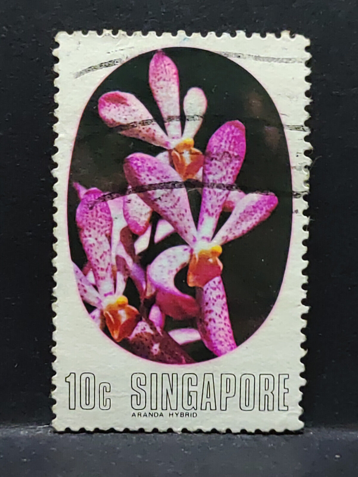 AMM68 Singapore Orchid Flower 10 cents Used Stamp (SA027)