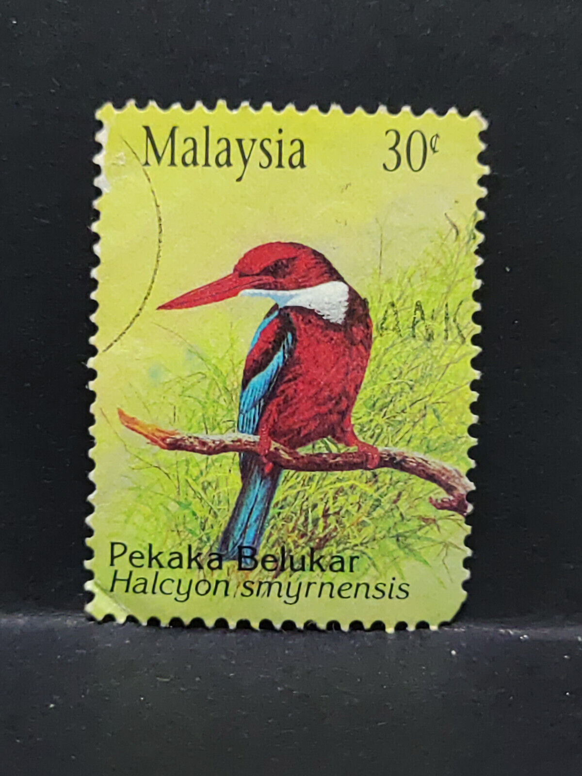 AMM68 Malaysia Pekaka Belukar Bird 30 cents Used Stamp (SA069)