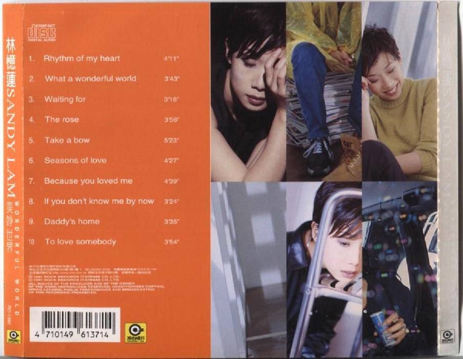 HK Sandy Lam 林憶蓮 林忆莲 Rare Wonderful World English Song 1997 Taiwan CD FCS3991
