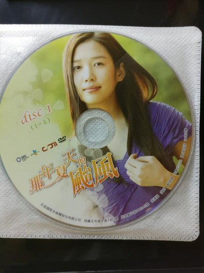 Korean Drama The Typhoon In That Summer 那年夏天的颱風 Ch Sub Taiwan 6x DVD FCB1853