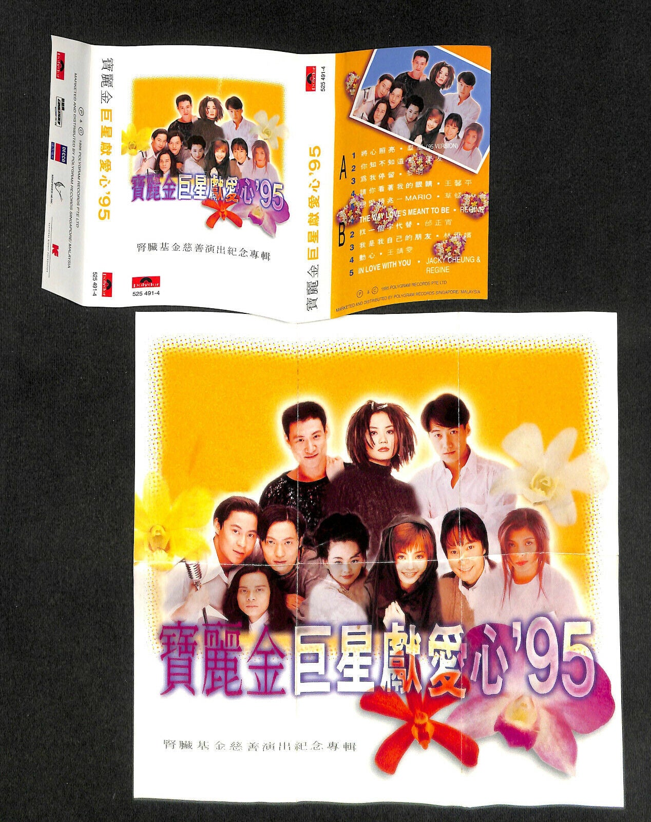 Rare 新加坡 NKF Charity 王菲 张学友 黎明 王馨平 1995 Various Artists Cassette 卡帶 磁帶 CS1622 