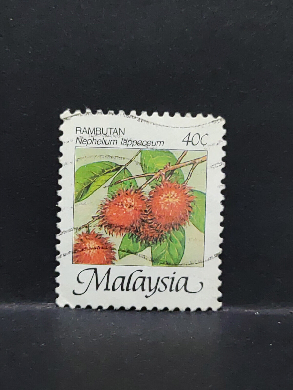 AMM68 Malaysia Rambutan Fruit 40 cents Used Stamp (SA066)