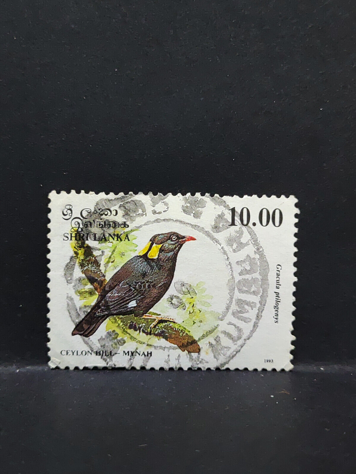 AMM68 Sri Lanka Bird 10 Rupee Used Stamp (SA077)