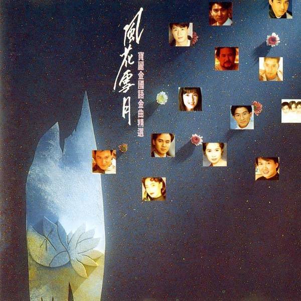 Jacky Cheung 张学友 刘德华 1993 Various Artists Chinese Polygram Singapore CD D045
