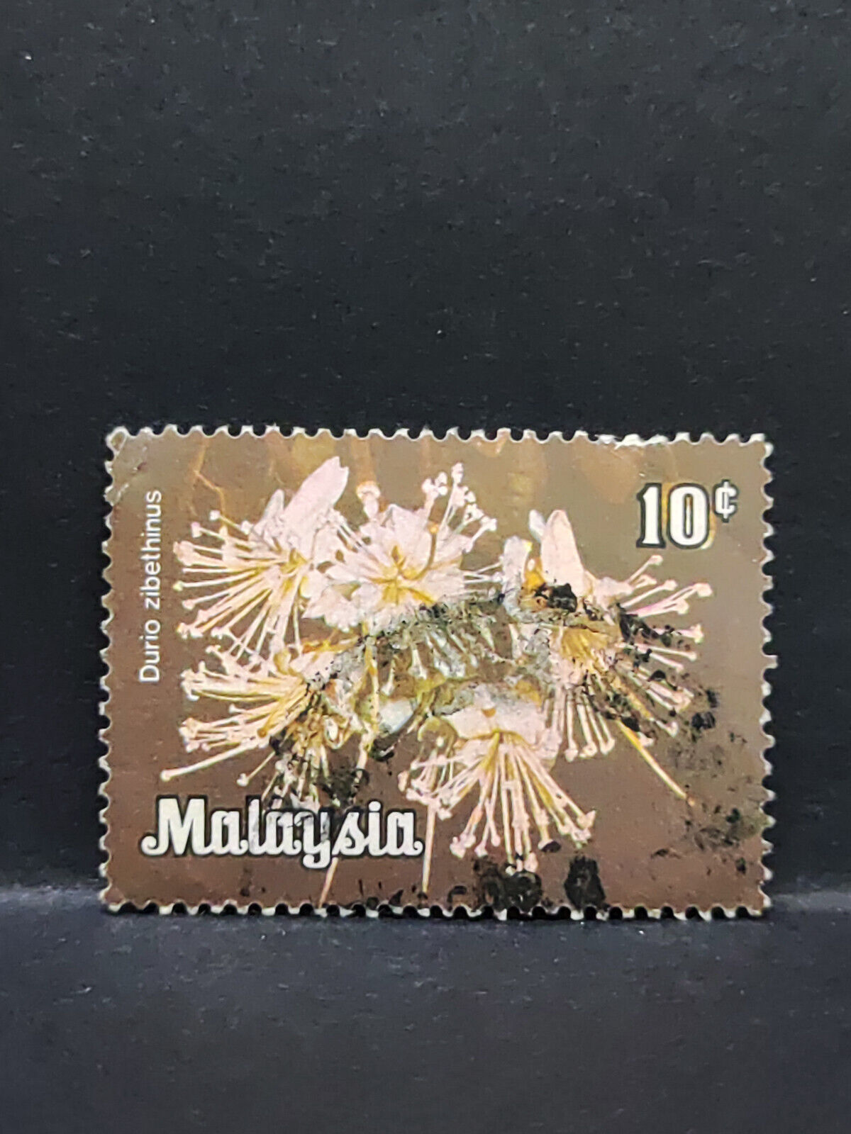 AMM68 Malaysia Durio Zibethinus Flower 10 cents Used Stamp (SA063)