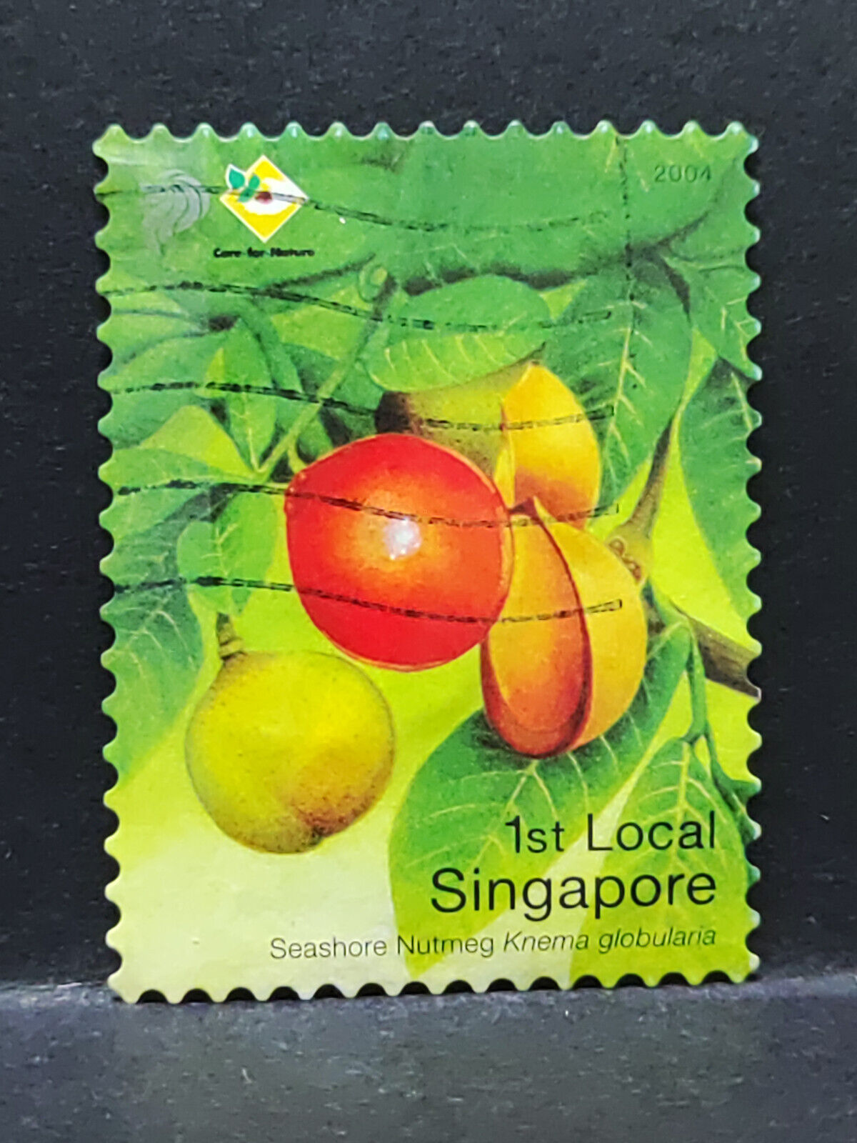 AMM68 Singapore Nutmeg 1st Local Used Stamp (SA024)