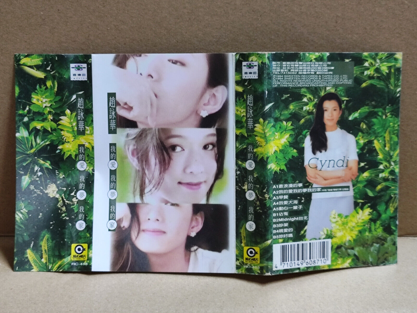 AMM68 Cyndi Chao 趙詠華 赵咏华 我的爱我的梦我的家 卡带 CHINESE CASSETTE ROCK TAIWAN 1994 (CS2167)