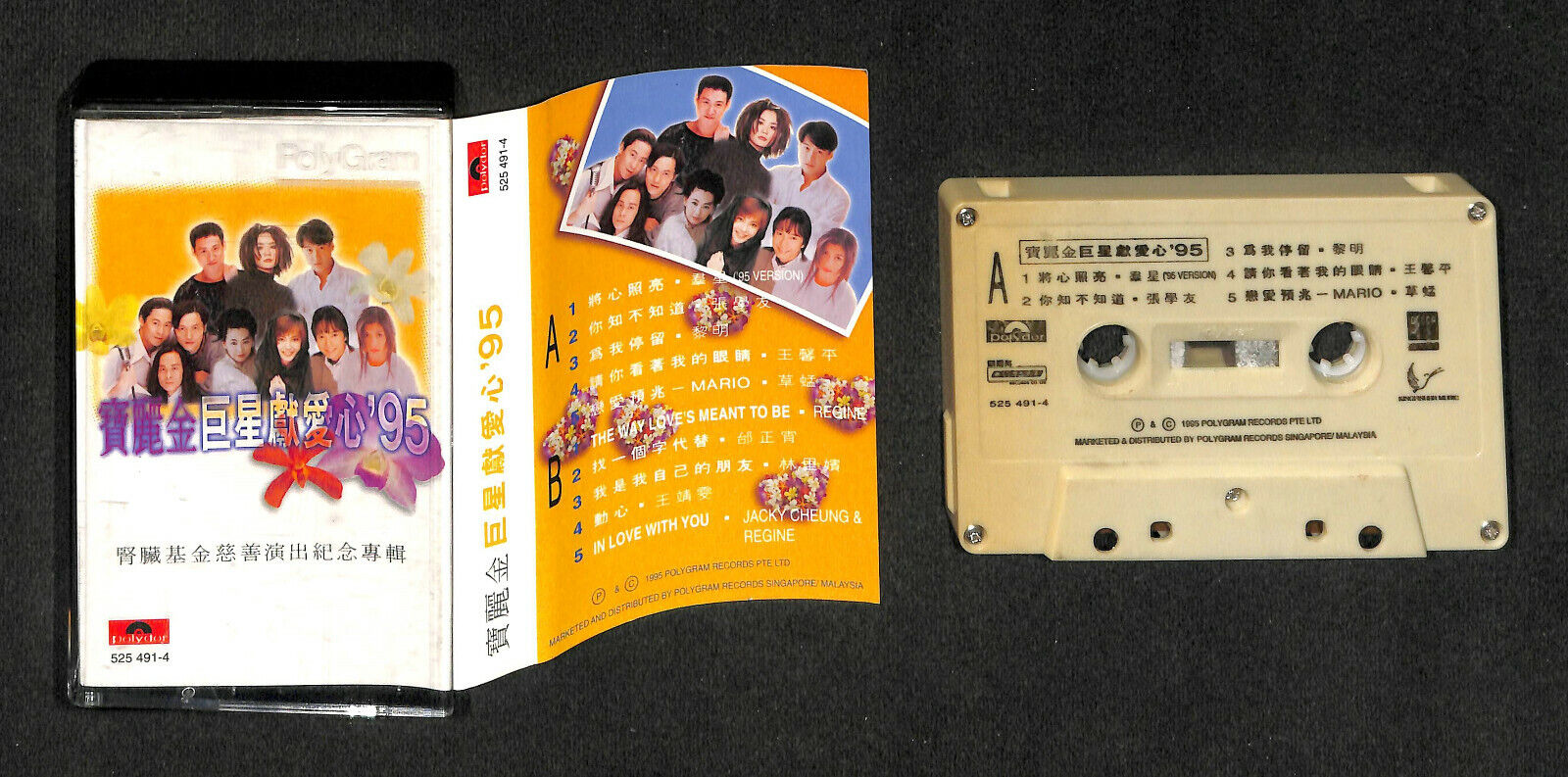 Rare 新加坡 NKF Charity 王菲 张学友 黎明 王馨平 1995 Various Artists Cassette 卡帶 磁帶 CS1622 