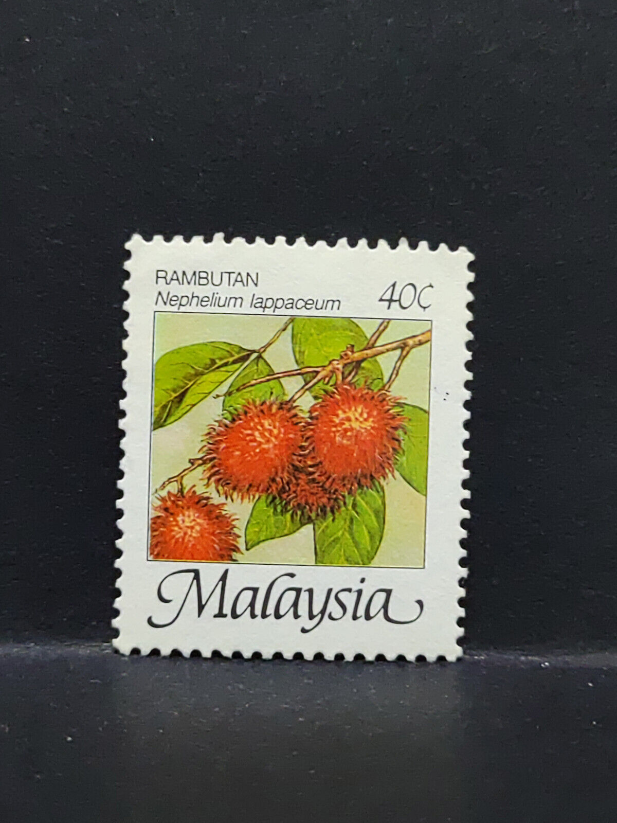 AMM68 Malaysia Rambutan Fruit 40 cents Used Stamp (SA068)