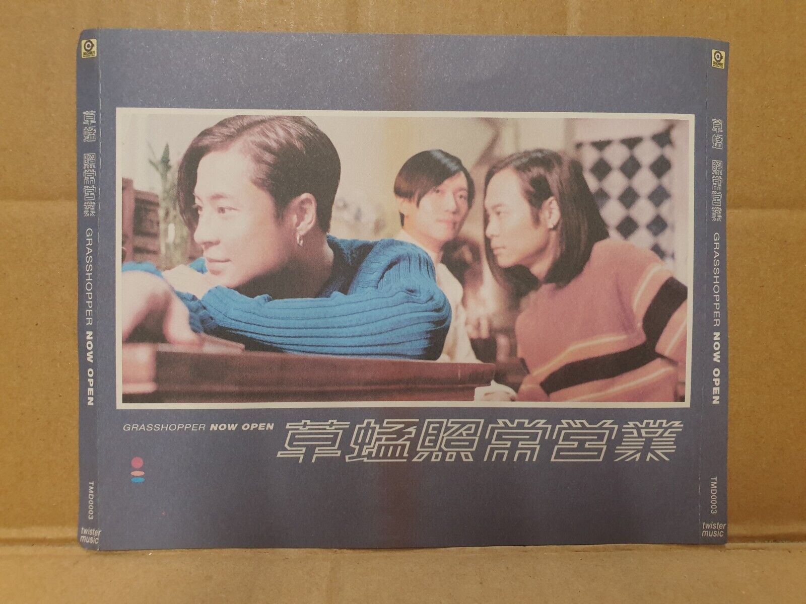 HK Grasshopper 草蜢 蘇志威, 蔡一智和蔡一傑 Chinese 8x CD + 3x VCD Set Lot Of 11 (FCS10369) M