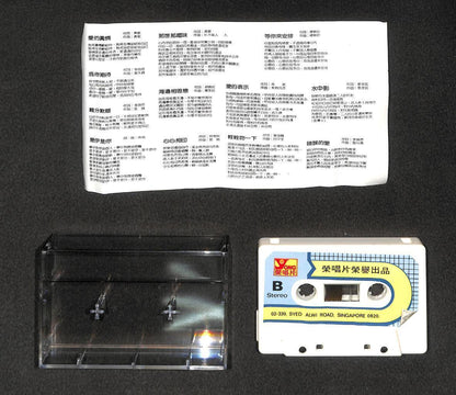 Taiwan Ya Jing 雅菁 (泥泥) 爱的真情 Hokkien Mega Rare Singapore Cassette 卡帶 磁帶 CS2034
