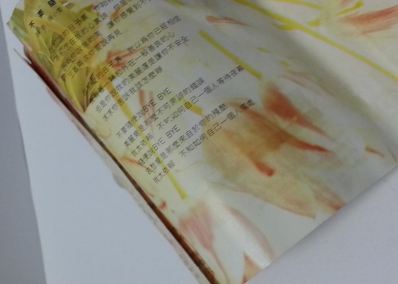 Taiwan Sarah Chen Shu Hua 陳淑樺 陈淑桦 聪明糊涂心 Rock China Cassette 卡帶 磁帶 CS1243