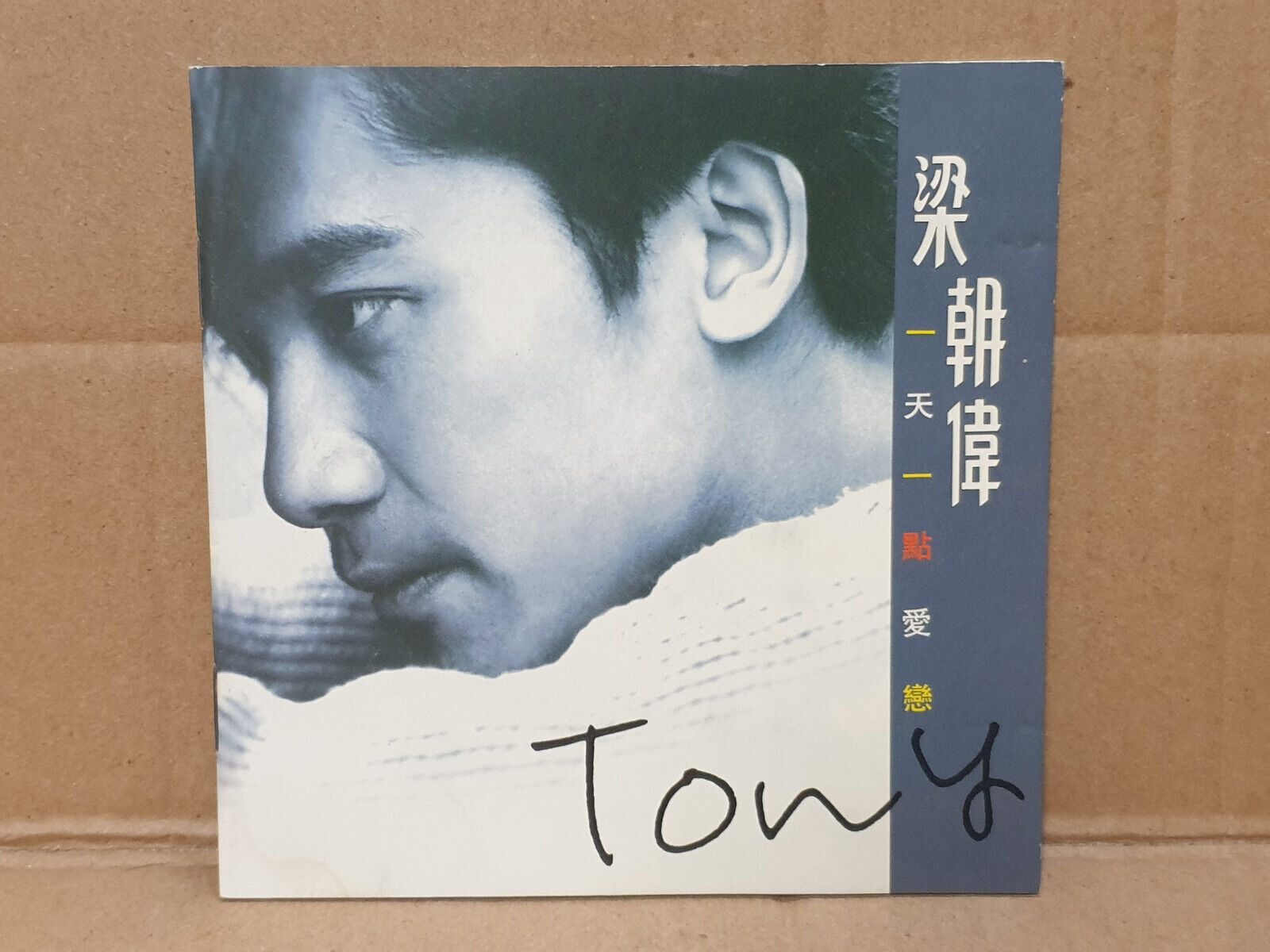 Hong Kong Tony Leung 梁朝伟 一天一点爱恋 我会伤了你的心 1993 Chinese Taiwan CD (FCS10536)