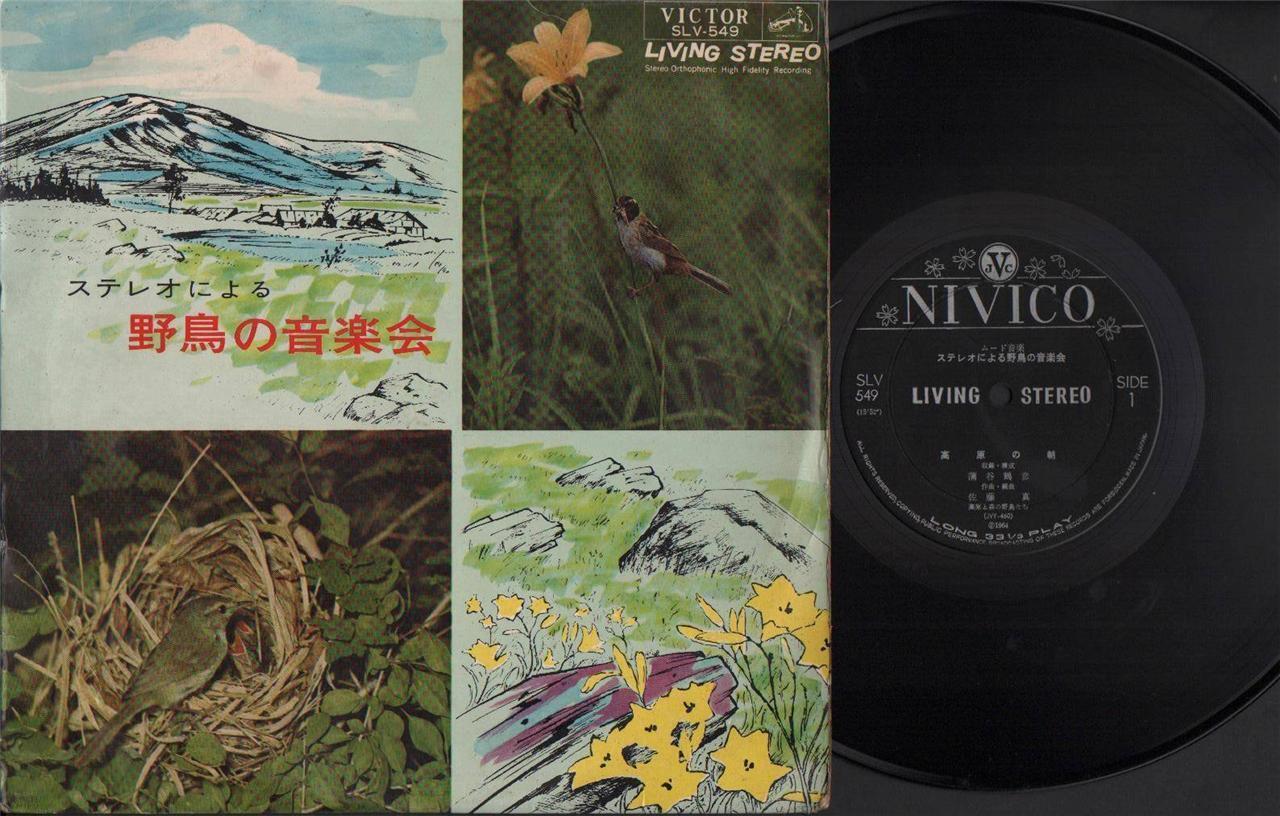 Mega Rare Japan Protected Birds Sounds Recording Nivico Japan 10" LP CLP4387