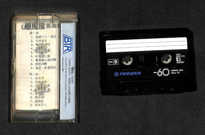 Taiwan Feng Fei Fei 凤飞飞 Oldies Classics Singapore Cassette 卡帶 磁帶 CS1529