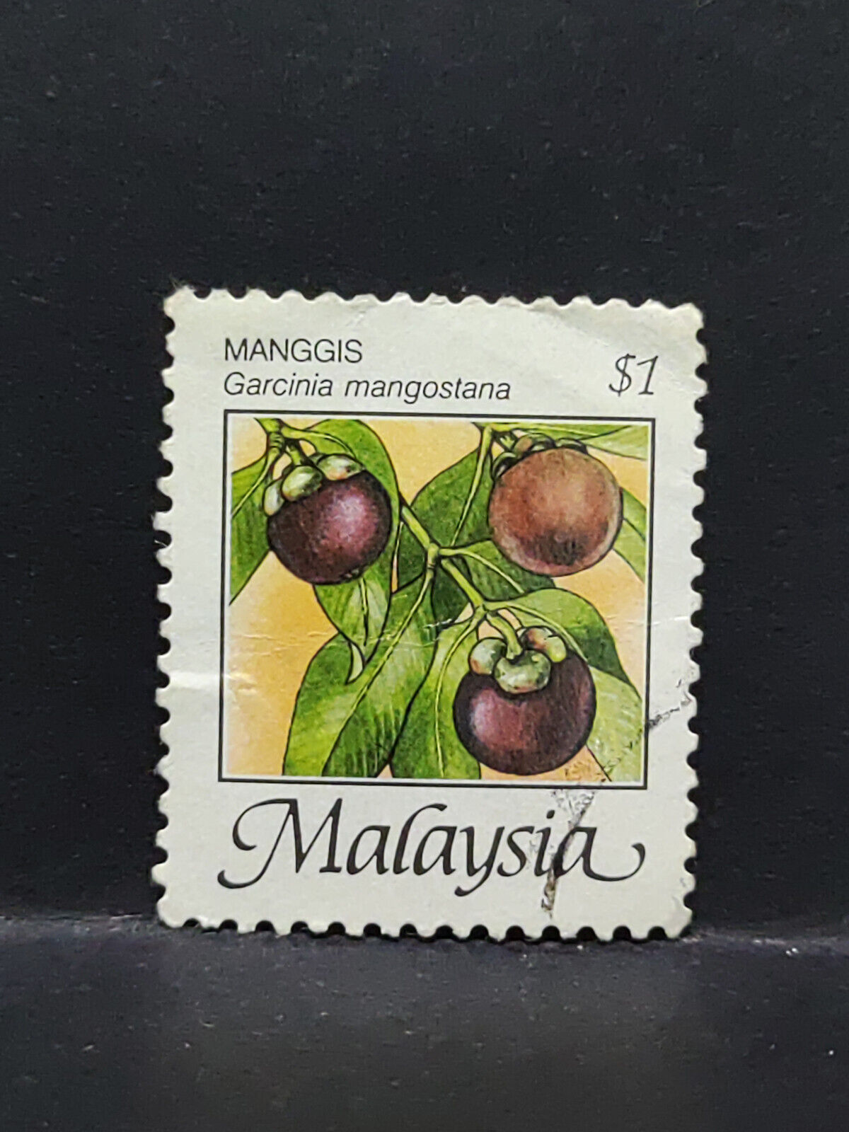 AMM68 Malaysia Manggis Mangosteen Fruit 1 Dollar Used Stamp (SA065)