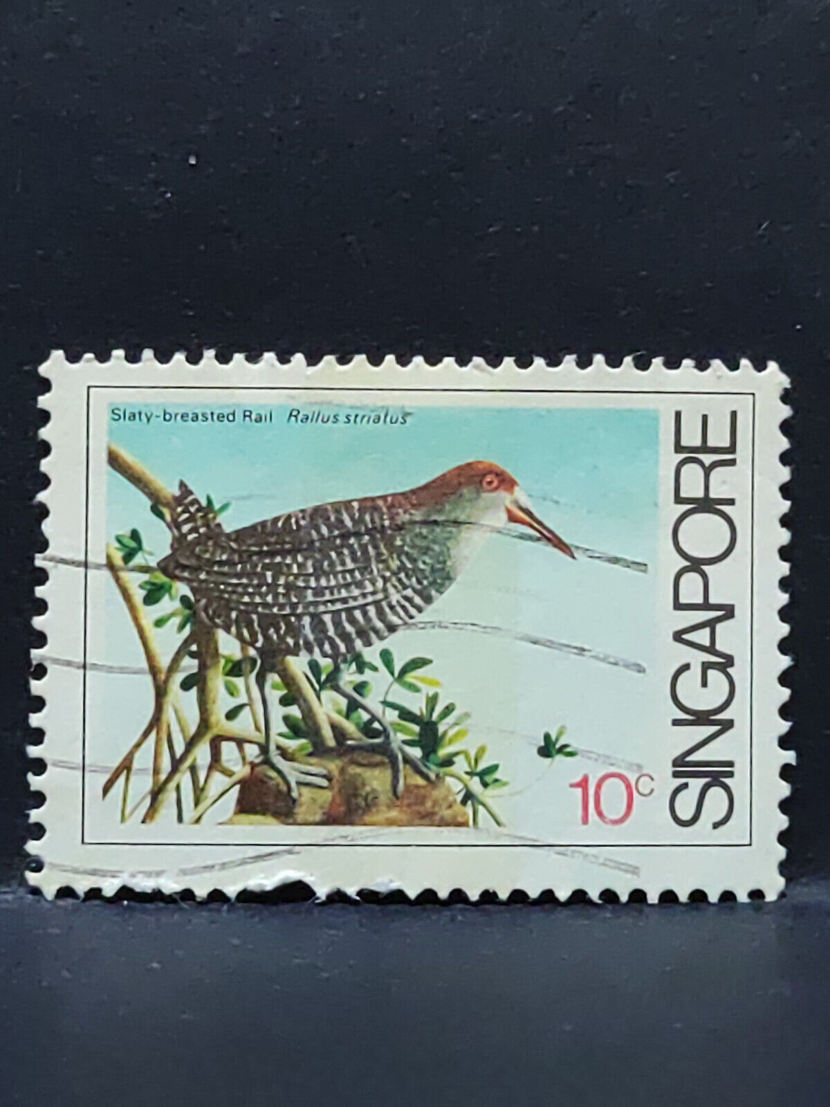 AMM68 Singapore Bird 10 cents Used Stamp (SA007)