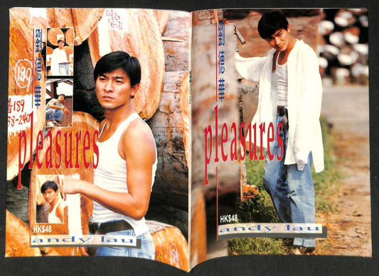 Vintage Andy Lau 刘德华 劉德華 Pleasures Color Photos Book Magazine (MZ035)