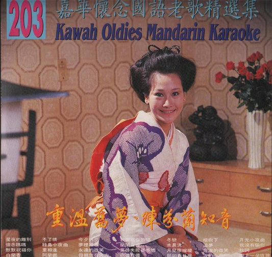 Chen Fen Lan On Cover Kawah Oldies Mandarin Karaoke Rare Japan Laserdisc LD662