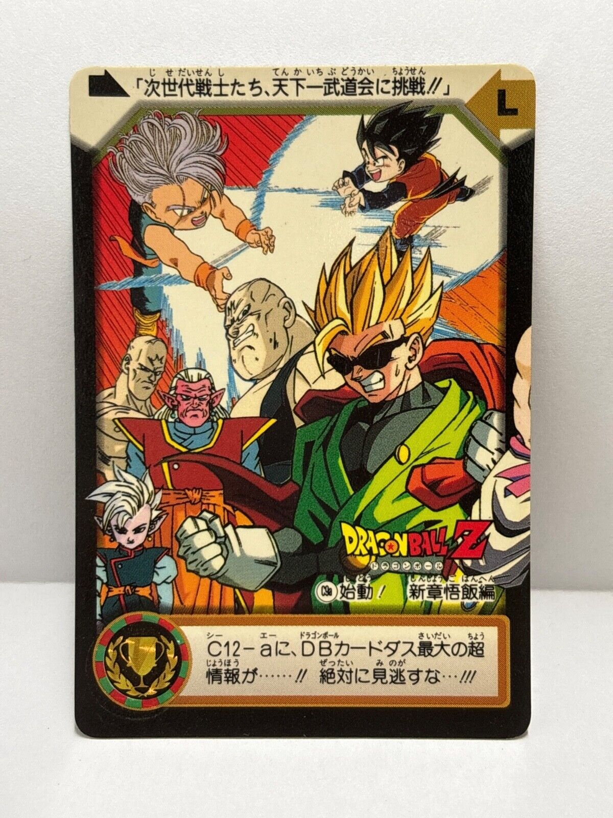 Dragon Ball Z Cards (C9a) Carddass Card Bandai 1995 (ZZ220)